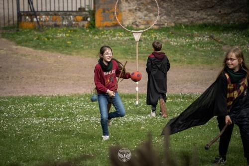 Griffsor-2026-497